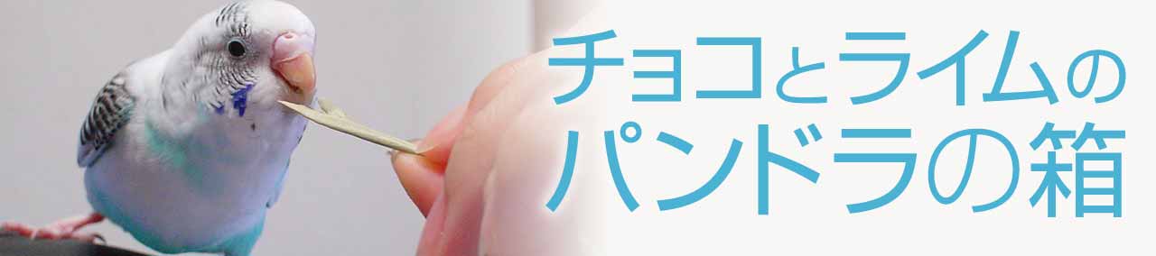 チョコとライムのパンドラの箱