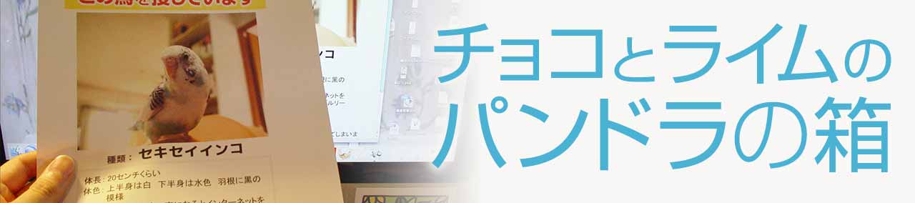 チョコとライムのパンドラの箱