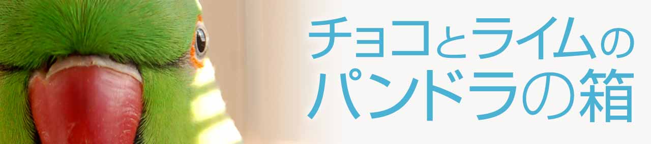 チョコとライムのパンドラの箱