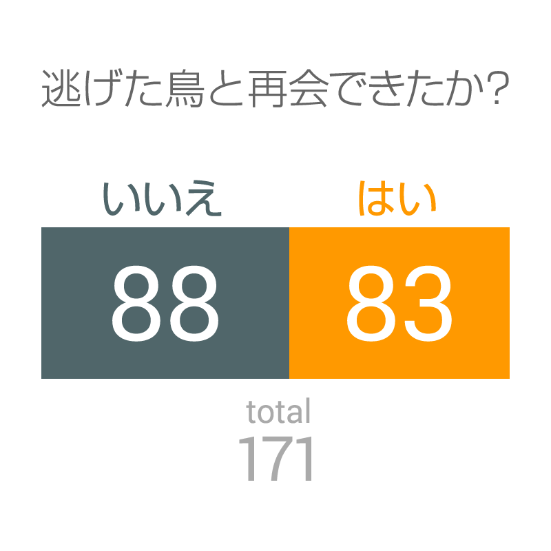 逃げた鳥と再会できたか?